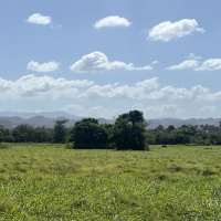 Open grass field