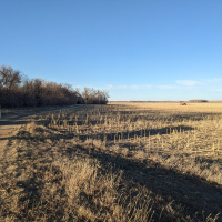 Plains landscape